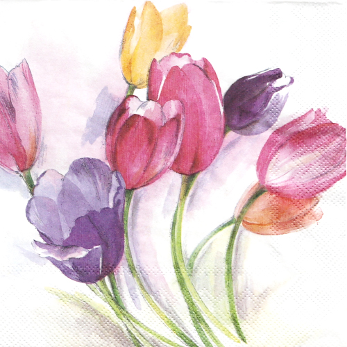 냅킨아트 768200 TULIP SEASON 냅킨20매 33x33cm 0167