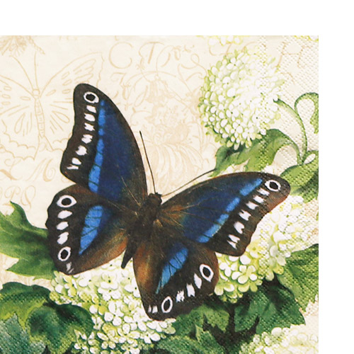 냅킨아트 C778560 BUTTERFLY SUMMER  냅킨20매 25x25cm 1086