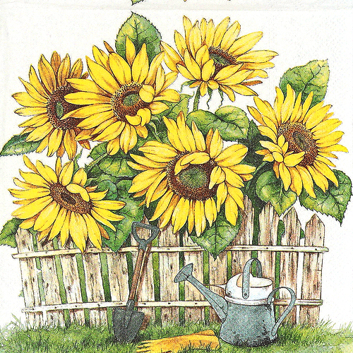 냅킨아트 13308725 GARDEN OF SUNFLOWERS 냅킨20매 33×33cm 0855