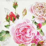 냅킨아트 L541390 TEA ROSE white 냅킨20매 33x33cm 0609