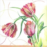 냅킨아트 211717 Parrot Tulip 냅킨20매 33x33cm 0258