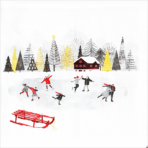 냅킨아트 3332904 Mountain Skating 냅킨20매 33x33cm 1552