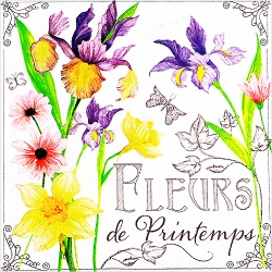 냅킨아트 387010 Fleurs de Printemps 냅킨20매 33x33cm 2114