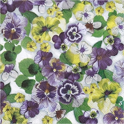 냅킨아트 13311572 Pansy All Over Purple 냅킨20매 33x33cm 2297