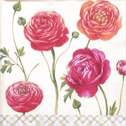 냅킨아트 L815160 BUTTERCUPS cream 냅킨20매 33x33cm 2695