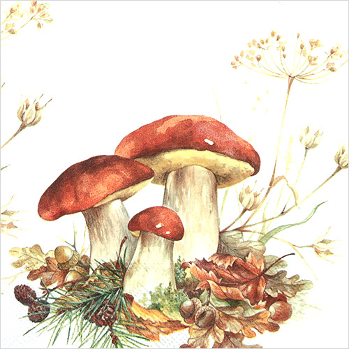 냅킨아트 L792700 BOLETUS EDULIS 냅킨20매 33x33cm 2807