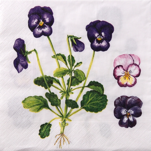 냅킨아트 177102 Pansies 냅킨20매 33x33cm