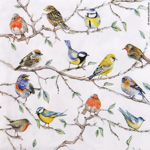 냅킨아트 13314975 Birds Meeting 냅킨20매 33x33cm