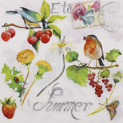 냅킨아트 2120002 Summer Birds 냅킨20매 33x33cm