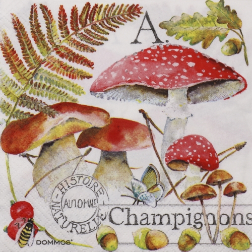 냅킨아트 2120005 Champignons 냅킨20매 33x33cm