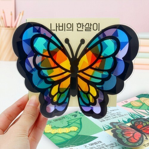 (MS) 썬캐쳐 나비 한살이