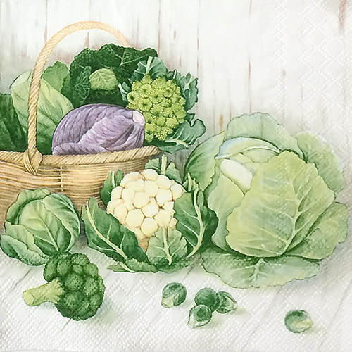 냅킨아트 13308700 Cabbage 냅킨20매 33x33cm 1037