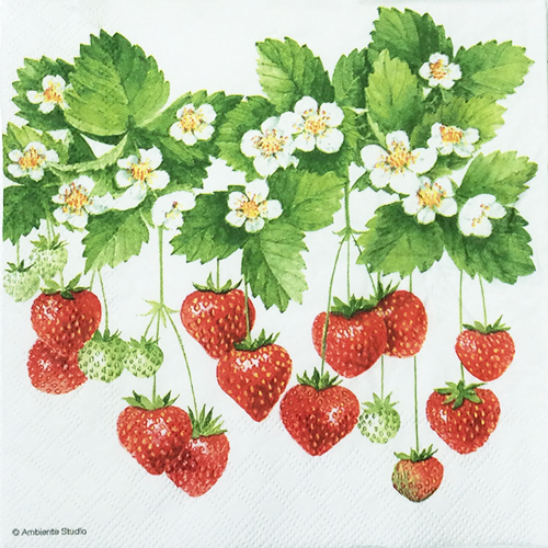 냅킨아트 13308205 Summer Fruits 냅킨20매 33x33cm 1083