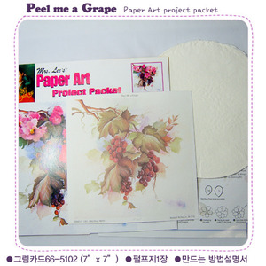 펄프 공예 패키지 Peel-me-a-Grape