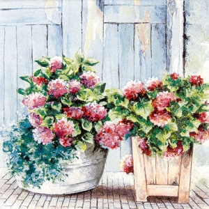 냅킨아트 211603 Cottage hydrangea 냅킨20매 33x33cm 0589