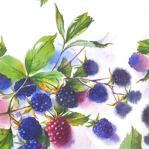 냅킨아트 L573300 BROMBEEREN 냅킨20매 33x33cm 0962