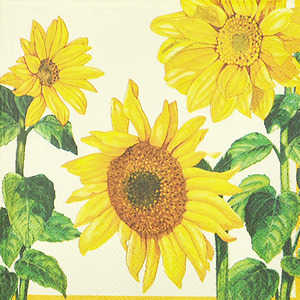 냅킨아트 13305840 Helianthus Cream 냅킨20매 33x33cm 0126